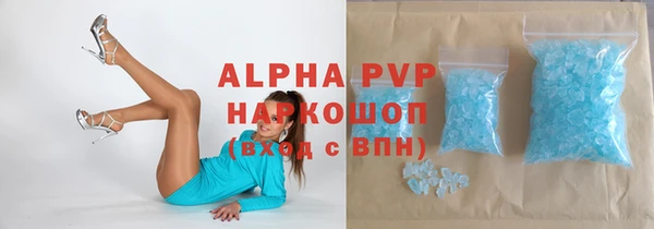 индика Волоколамск