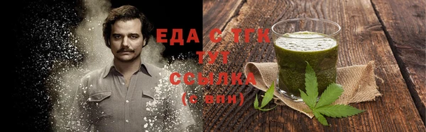 индика Волоколамск